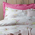Merano Roze