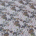 Blossom Grijs