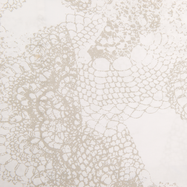 Dommelin Phyton - Afbeelding 2
