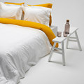 Chicco goud
