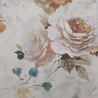 Camelia Terra