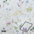  Nature-586-Hoeslaken-H40.png