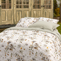  Camelia-DBO-Grijs-555-1