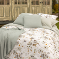 Camelia-DBO-Grijs-555-2