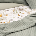 Camelia-DBO-Grijs-555-4
