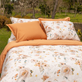  Camelia-DBO-Terra-573-1
