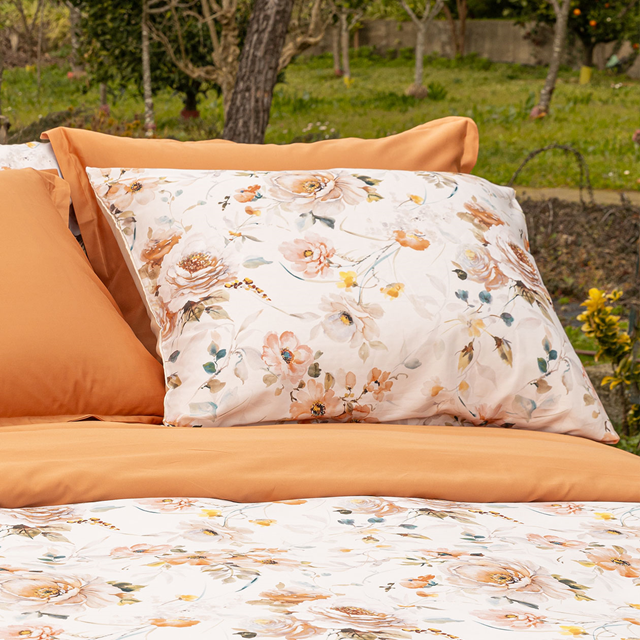  Camelia-KS-Terra-573-3