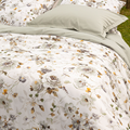  Camelia-LK-Grijs-555-1.