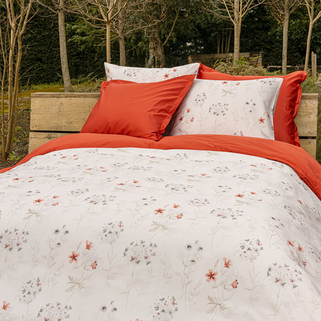  DBO-Field-Rosso-580_1.