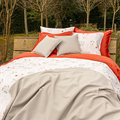  DBO-Field-Rosso-580_2