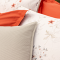  KS-Field-Rosso-580_1