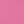 Fuchsia - 036